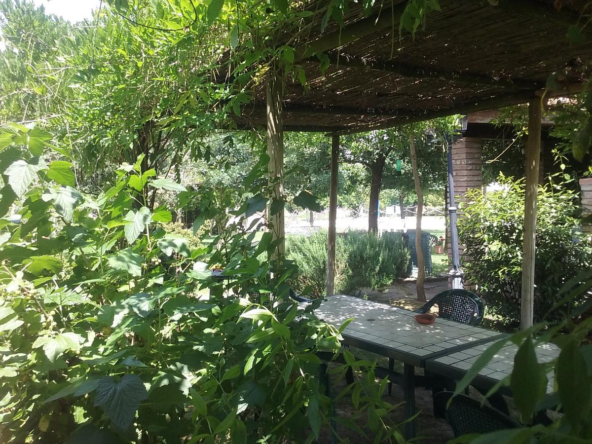 Agriturismo Dolce Verde Castiglione del Lago Exterior photo